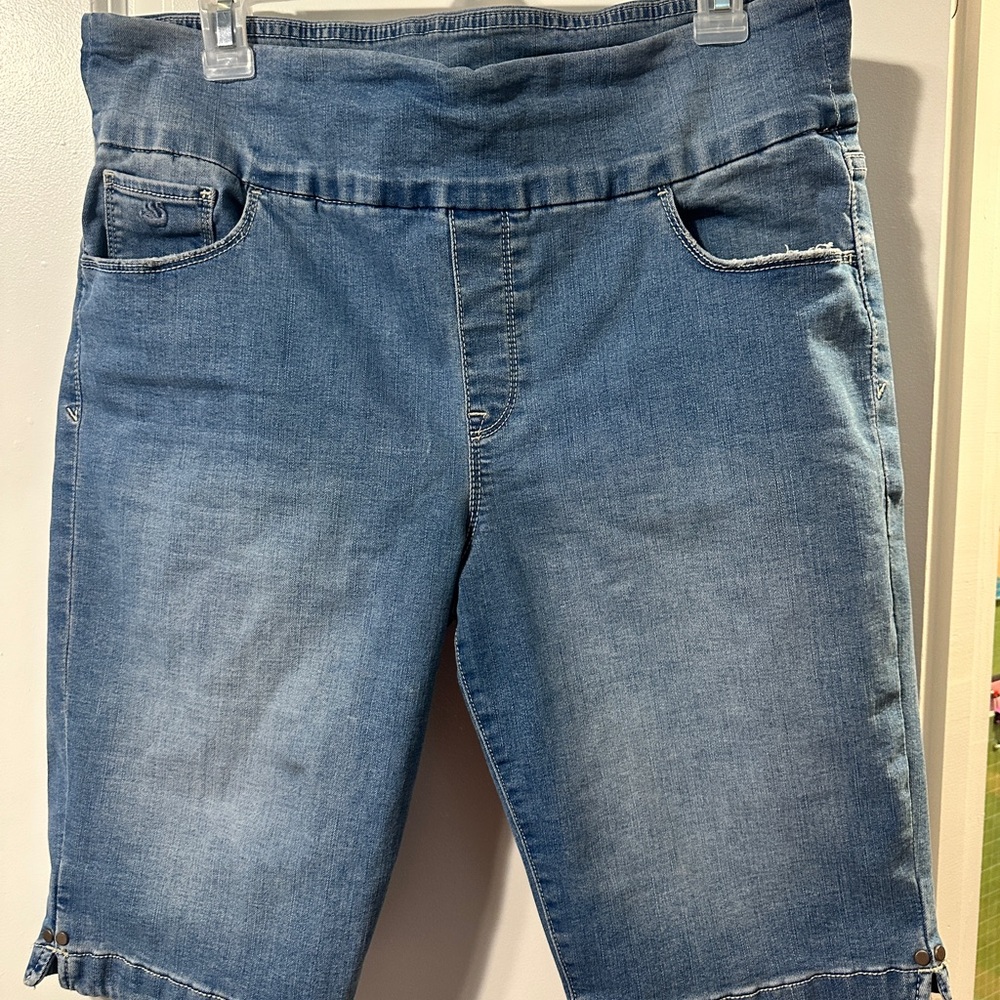Gloria Vanderbilt Blue Jean Shorts